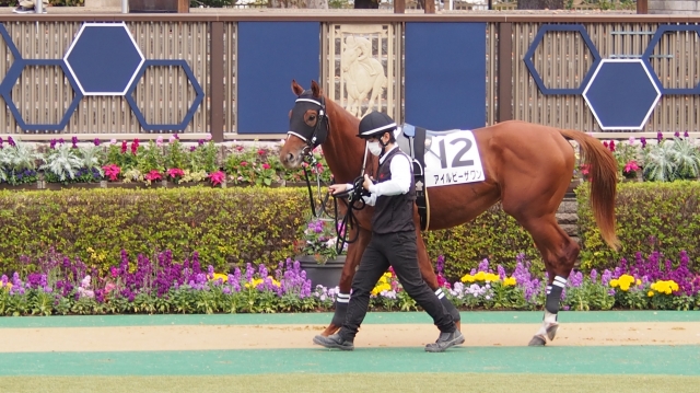 20201108東京3R 未勝利戦 パドック アイルビーザワン