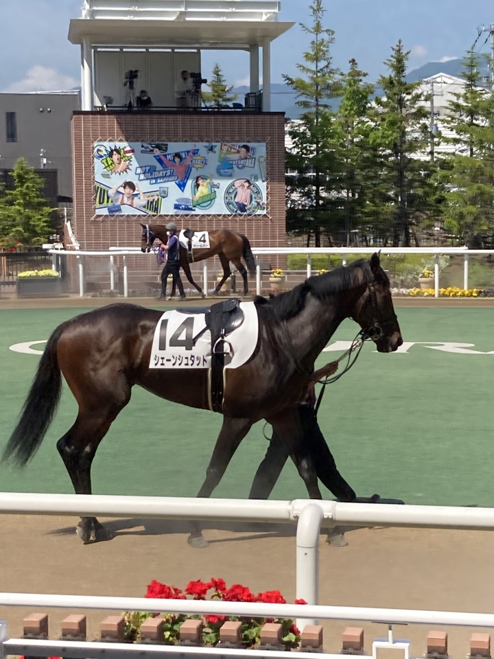 2021/6/13 3歳未勝利 シェーンシュタット