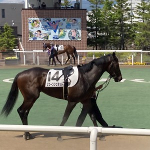 2021/6/13 3歳未勝利