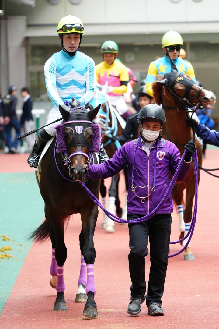 2024/4/6 障害未勝利 レヴォリオ
