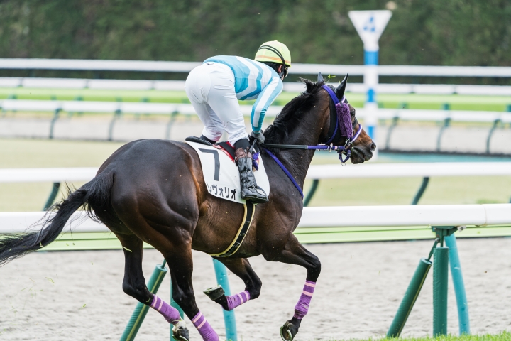 2024/4/6 障害未勝利 レヴォリオ