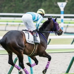 2024/4/6 障害未勝利