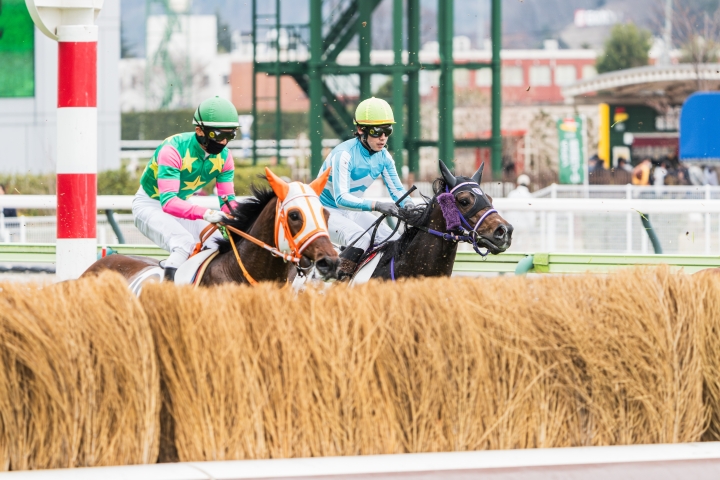 2024/4/6 障害未勝利 レヴォリオ