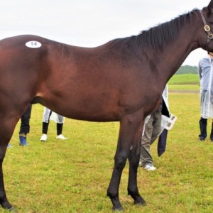 募集場見学ツアー