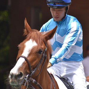 未勝利優勝時　パドック