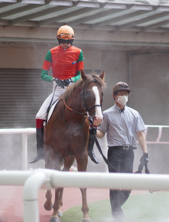 2022/6/26 3歳以上1勝クラス マイネルグスタフ