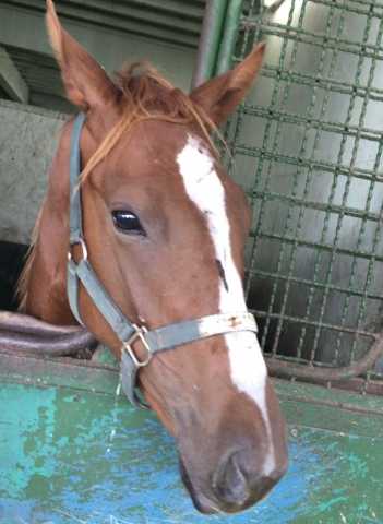 見学 フェアメーゲン