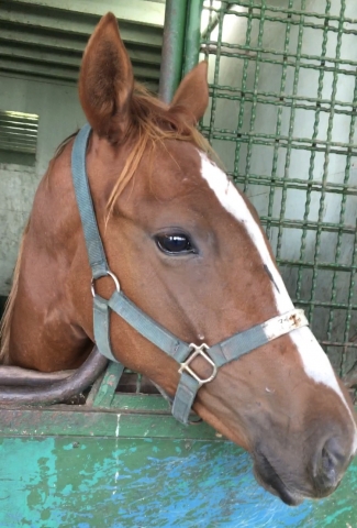 見学 フェアメーゲン