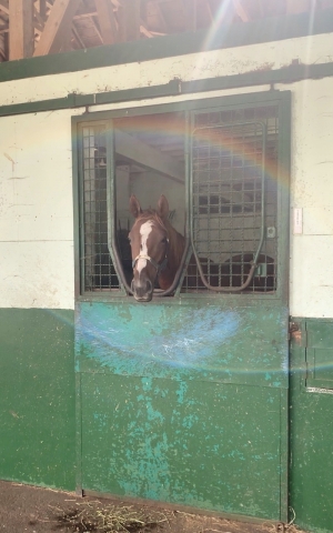 見学 フェアメーゲン