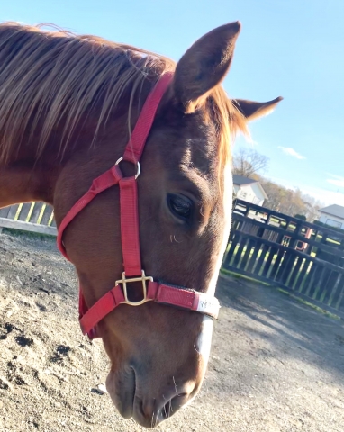 見学 フェアメーゲン