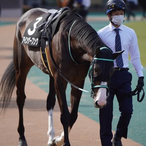 2023/2/12 初音S(3勝クラス)