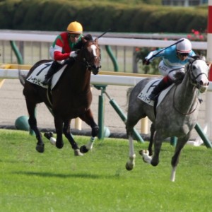スノークォーツ新馬戦優勝！