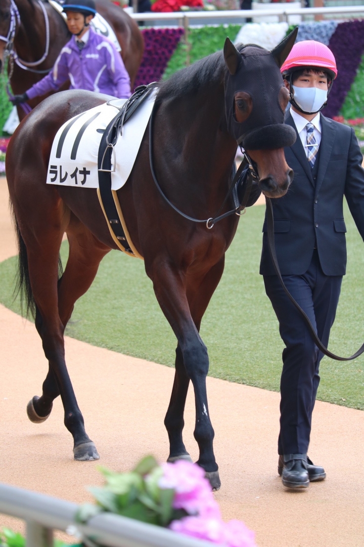 2020/12/6 2歳新馬 ラレイナ