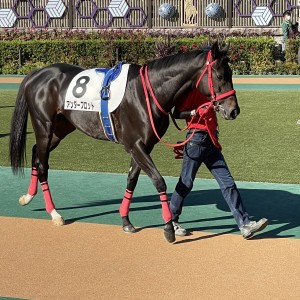 2021/10/30 3歳以上1勝クラス