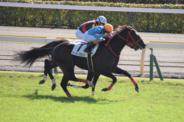 新馬：直線のたたきあい アンダープロット