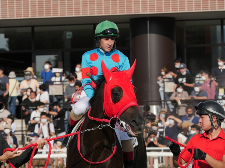 2022/9/4 3歳以上2勝クラス アンダープロット