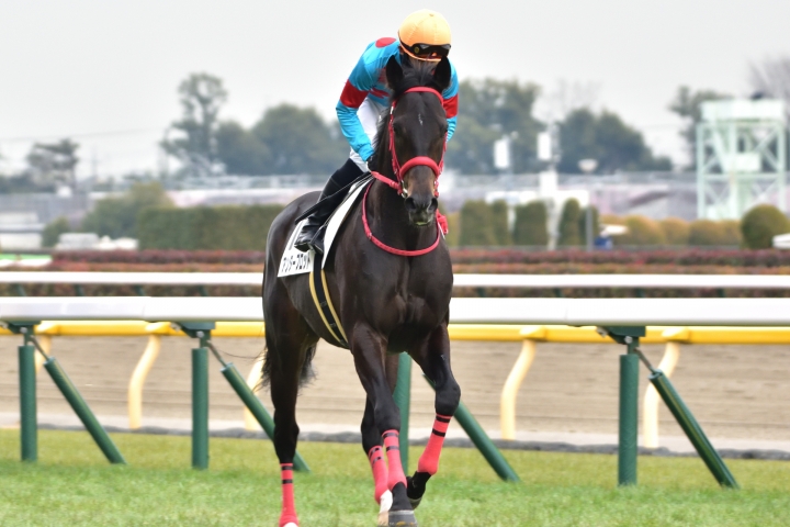 2022年2月 アンダープロット