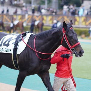 2022/2/19 4歳以上2勝クラス