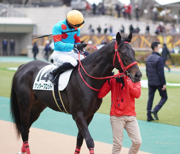 2022/2/19 4歳以上2勝クラス アンダープロット