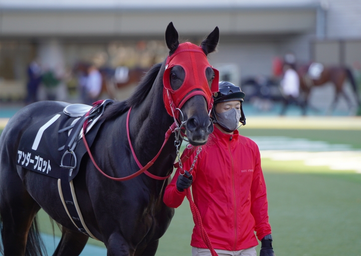2022/11/27 ウェルカムS(3勝クラス) アンダープロット