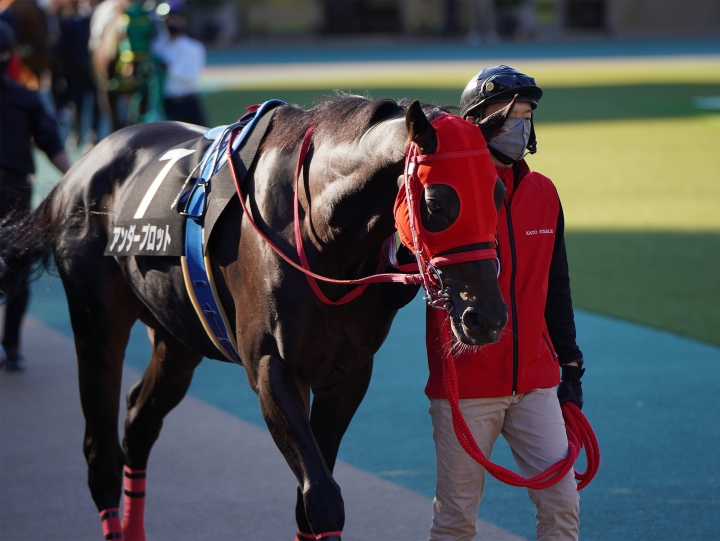 2022/11/6 錦秋S(3勝クラス) アンダープロット