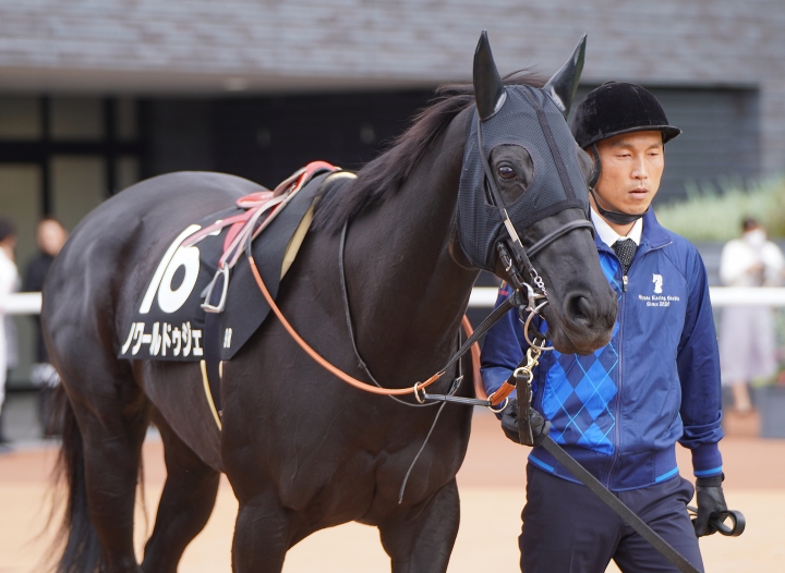 2023/11/11 修学院S(3勝クラス) ノワールドゥジェ