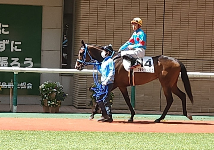 2023/4/16 4歳以上1勝クラス(牝) アルジェントステラ