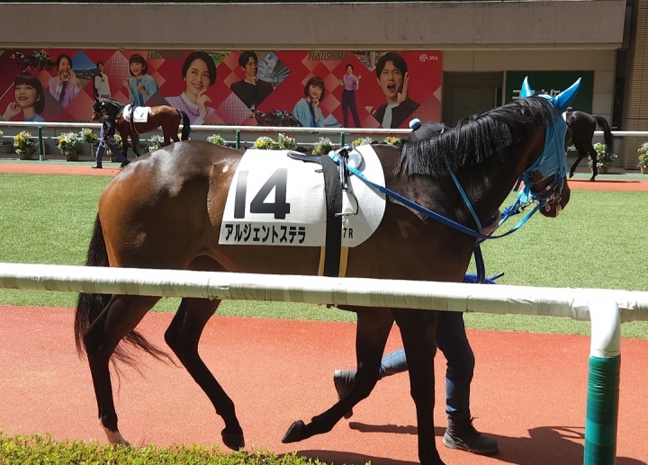 2023/4/16 4歳以上1勝クラス(牝) アルジェントステラ