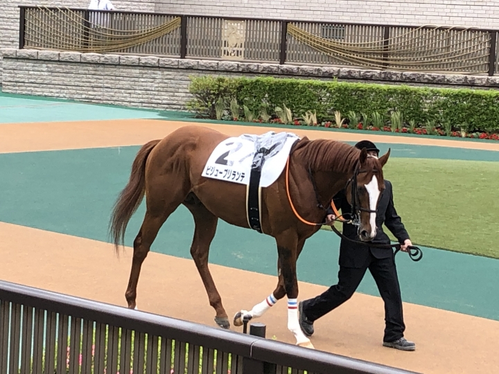 2021/5/16 3歳1勝クラス ビジューブリランテ