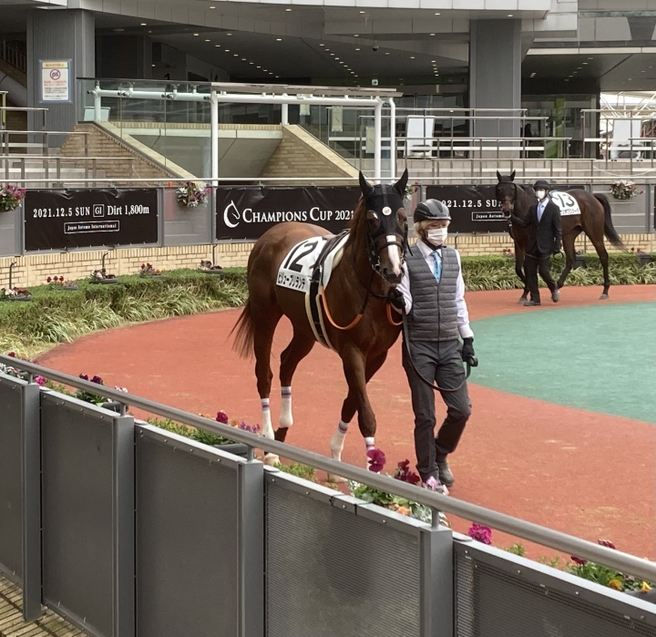 2021/12/5 3歳以上1勝クラス ビジューブリランテ