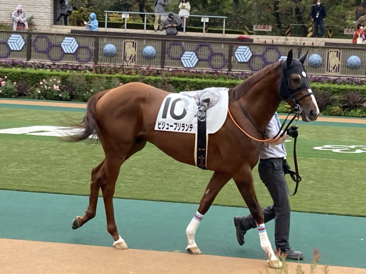 2021/10/31 3歳以上1勝クラス ビジューブリランテ