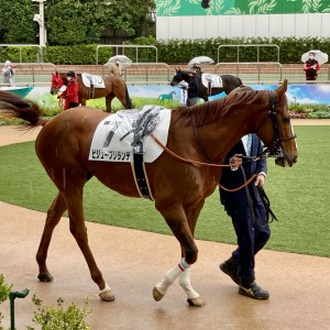 2022/4/3 4歳以上1勝クラス