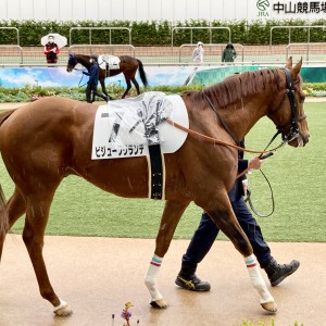 2022/4/3 4歳以上1勝クラス