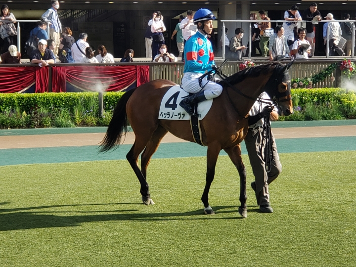 2023年5月 ベッラノーヴァ