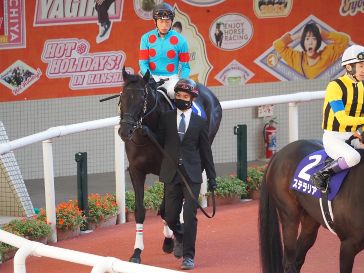 2021年10月 クールキャット