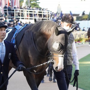 2022/12/24 グレイトフルS(3勝クラス)