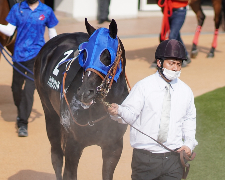 2021/9/11 汐留特別(2勝クラス) ノックオンウッド