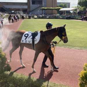 2022/5/7 4歳以上1勝クラス