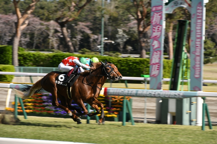 2021年4月 アリーヴォ