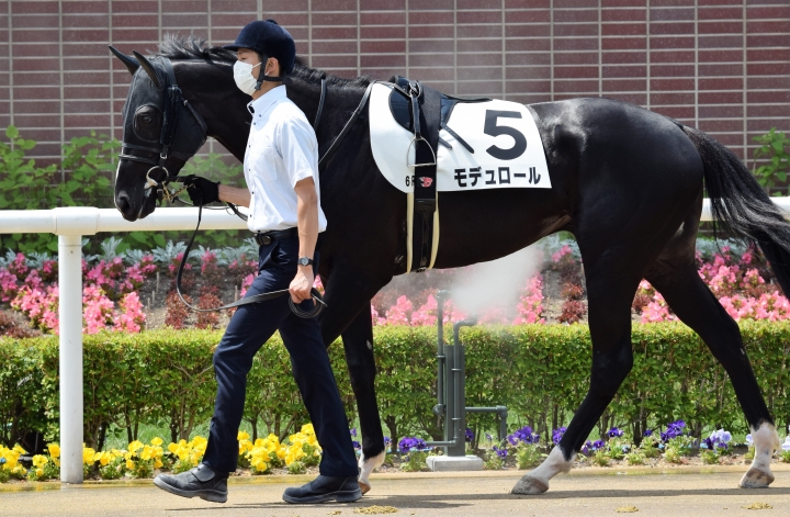 2021年6月 モデュロール