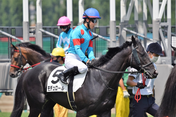 2021年6月 モデュロール