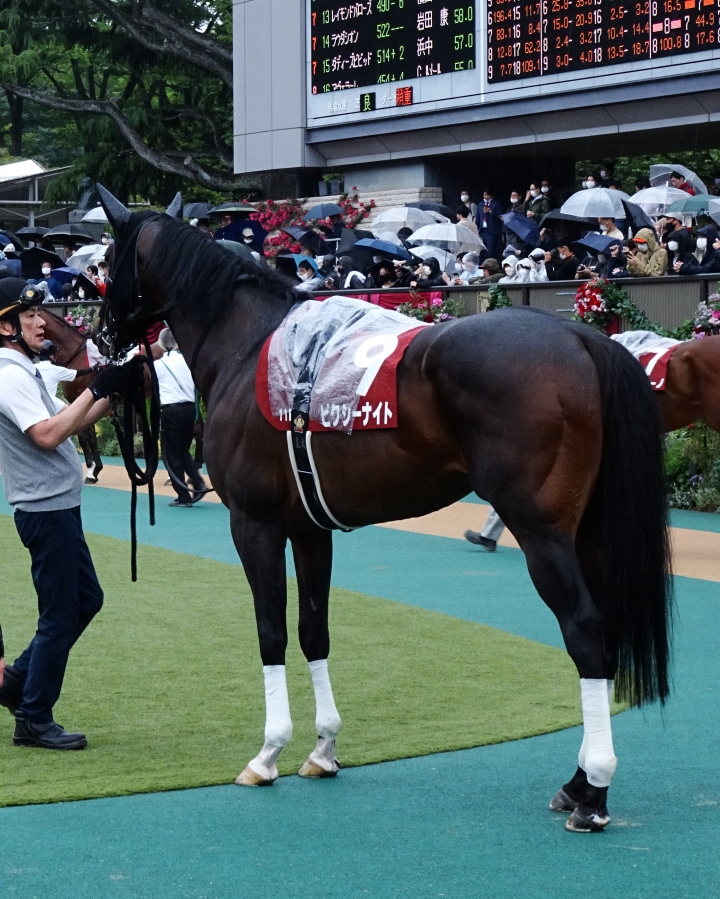 京王杯SC パドック ピクシーナイト