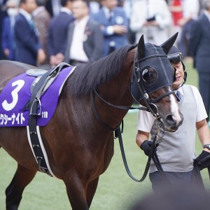 2023/10/1 スプリンターズS(G1)