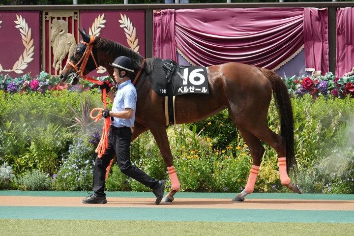 2022年6月 ベルゼール