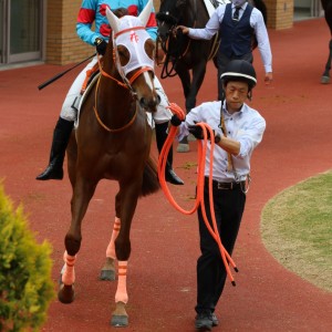 2021/5/16 3歳未勝利(牝)