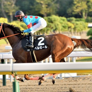 2021/10/24 鳥屋野特別(2勝クラス)