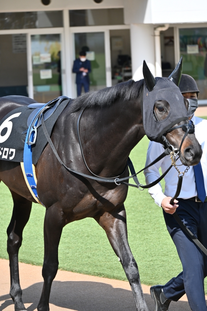 2022/3/21 隅田川特別(2勝クラス) レッドロワ