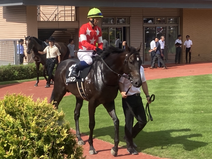 2023/8/27 五頭連峰特別(2勝クラス) レッドロワ