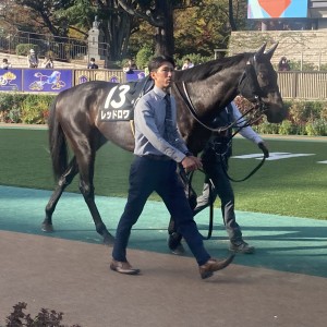 2024/11/17 秋色S(3勝クラス)