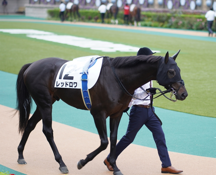 2021/10/16 3歳以上1勝クラス レッドロワ